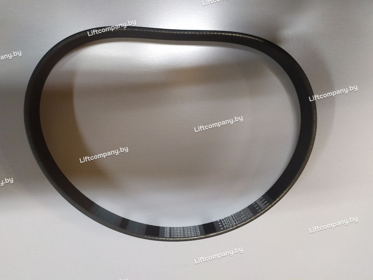 Ремень поликлиновой 8PJ559