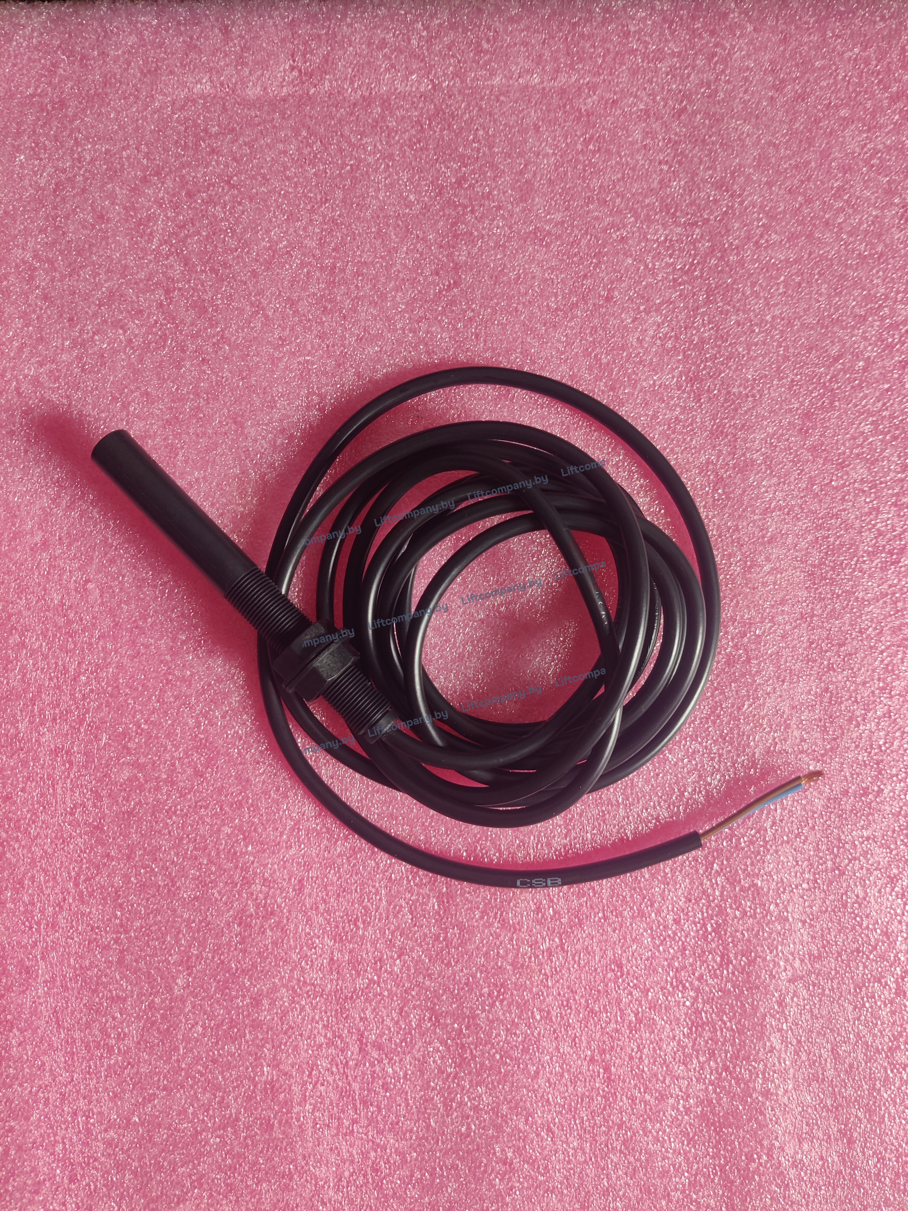 Магнитный (герконовый) моностабильный датчик CSB NO C121 1V (250V AC/DC 0,04A), кабель 2,5м